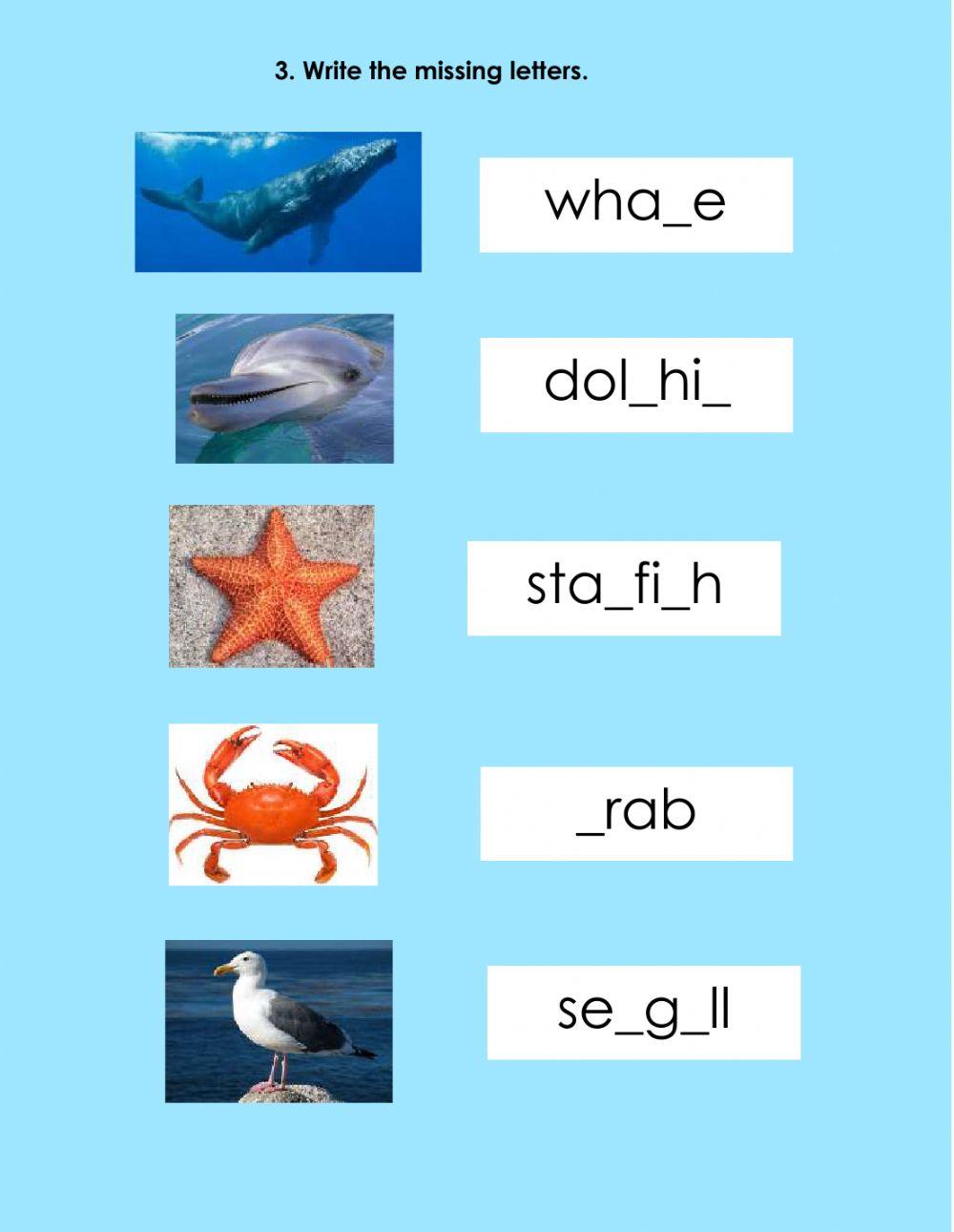 Sea animals