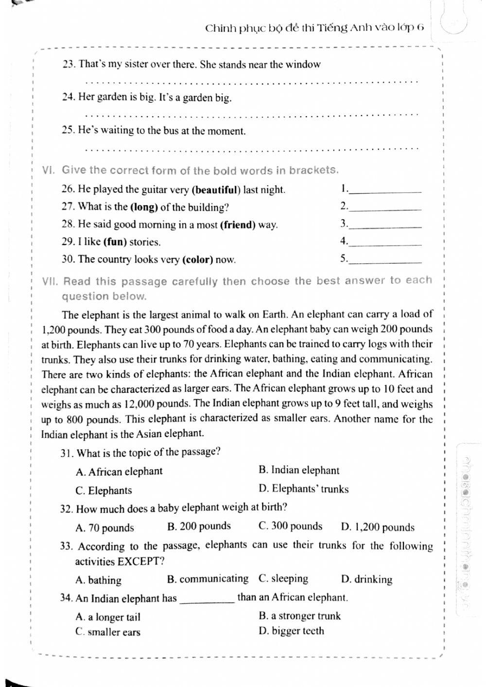 English 6 - Đề số 16