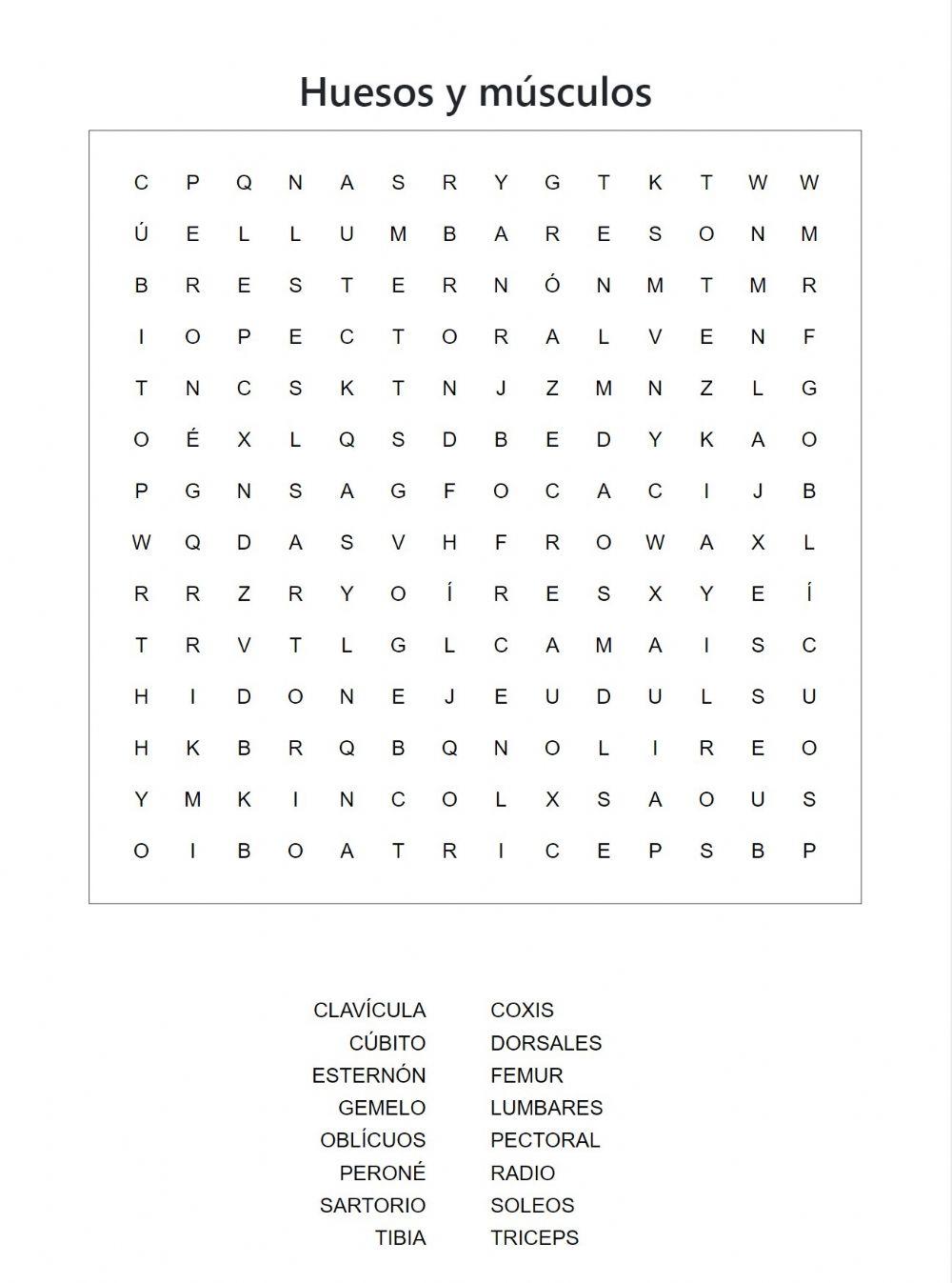 Huesos y Músculos