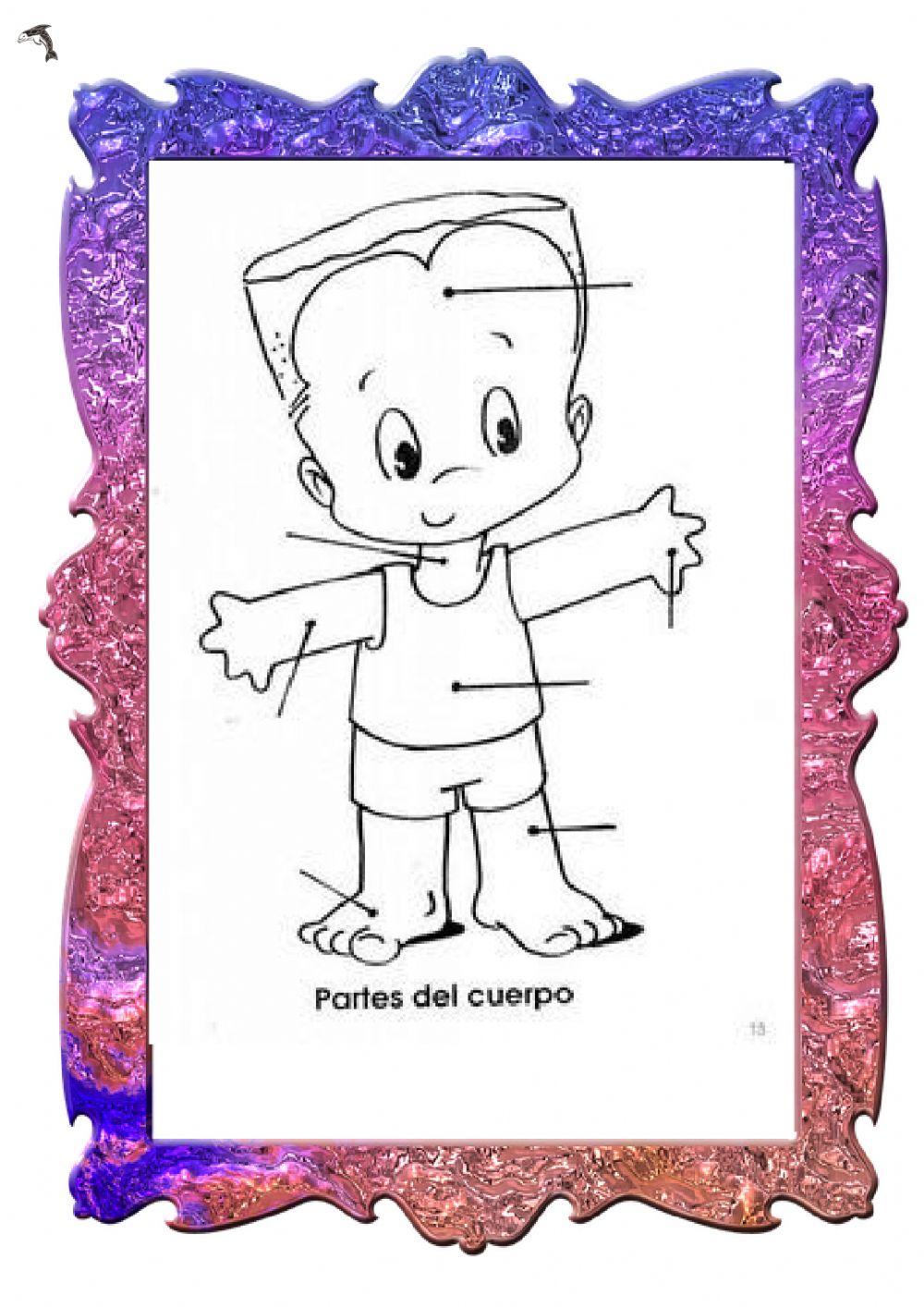 Partes del cuerpo