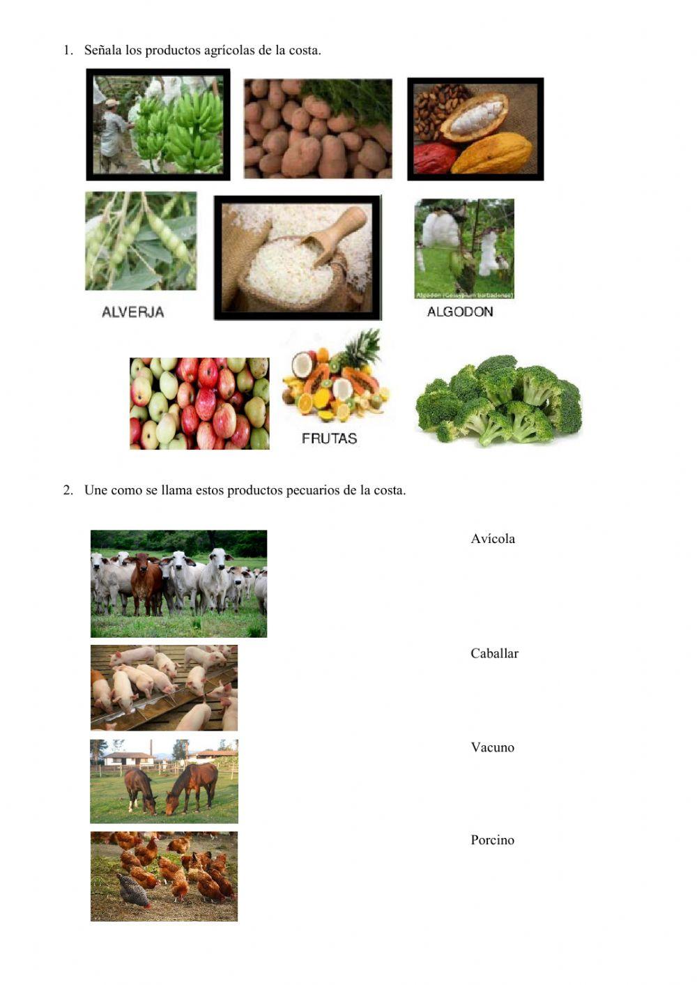 Productos de la costa ecuatoriana