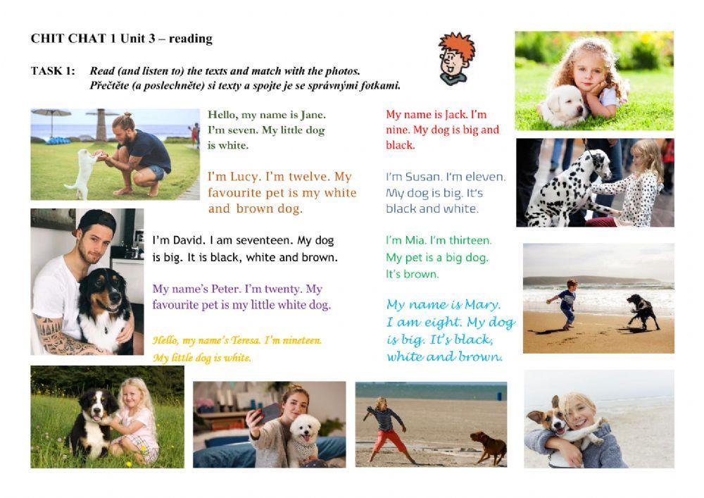 Chit Chat 1 Review A - Pets - reading