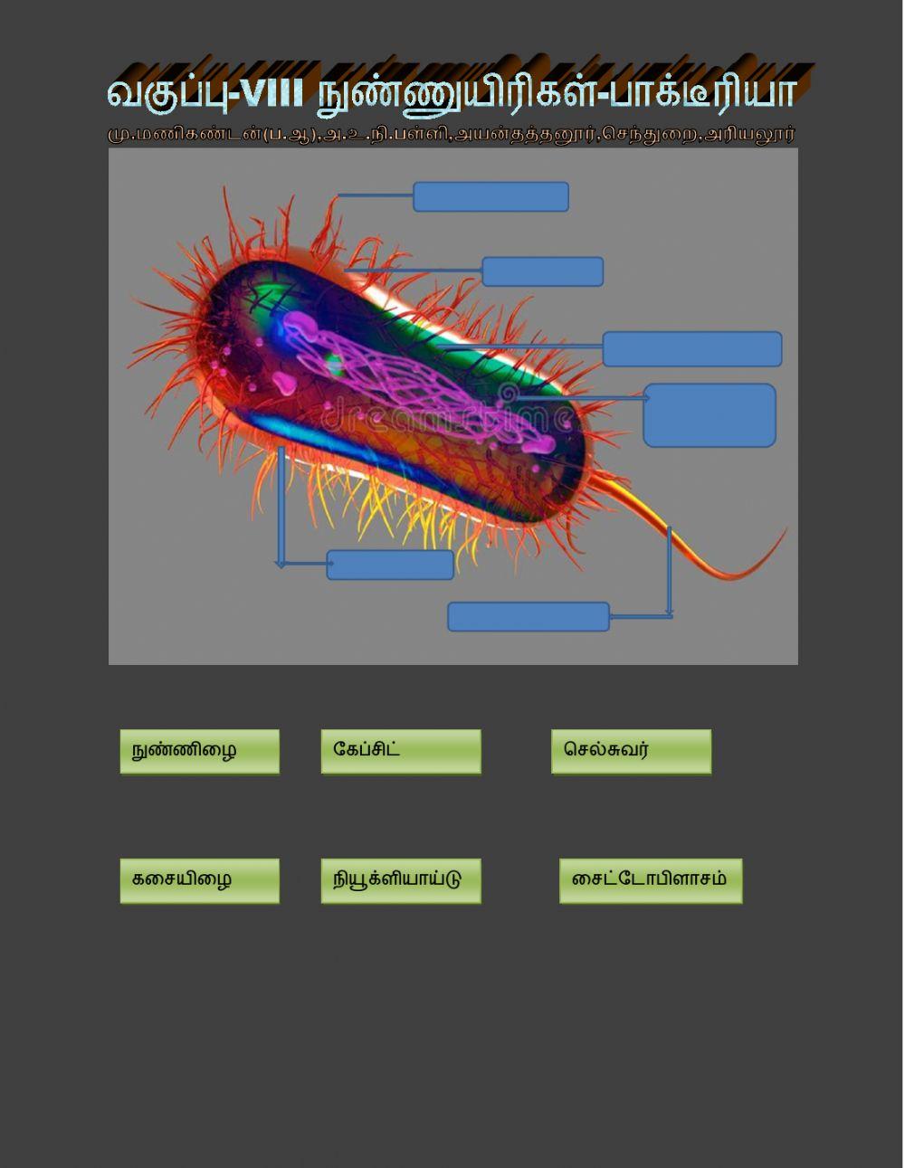 நுண்ணுயிரியல்