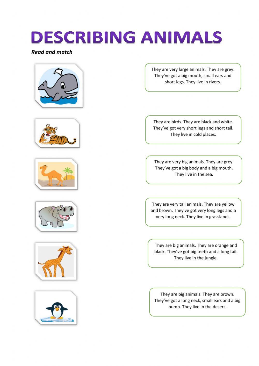 Animals description