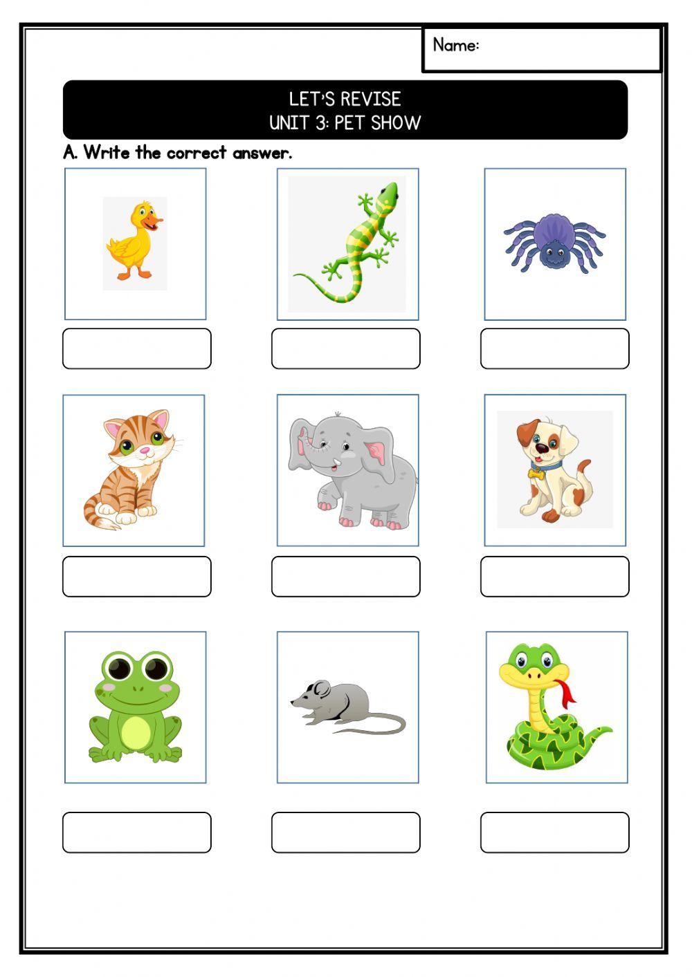 The Pet Show Revision