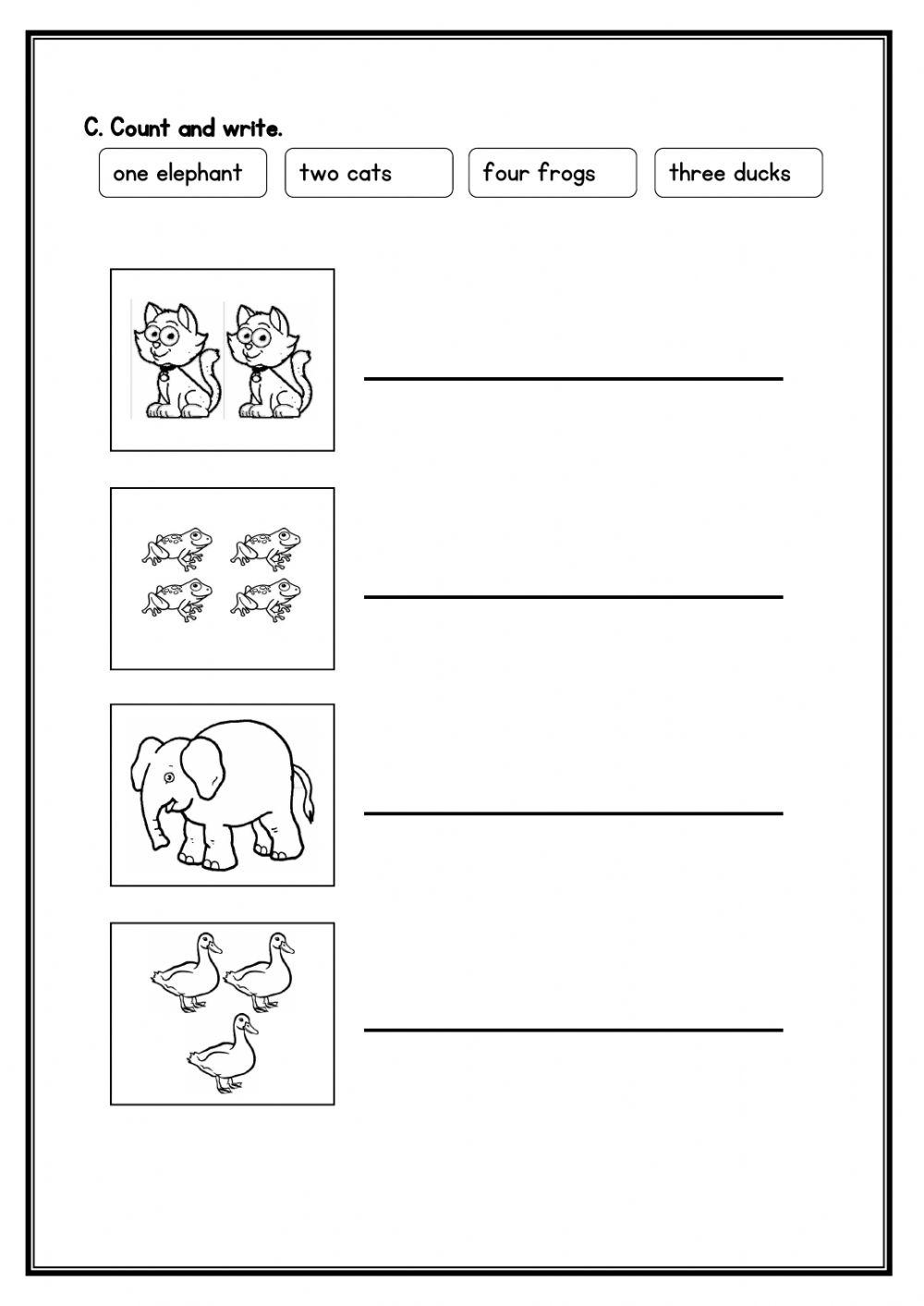 The Pet Show Revision