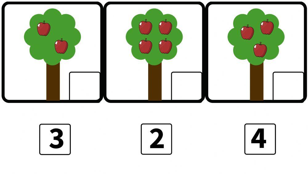 Asocia cantidad-número