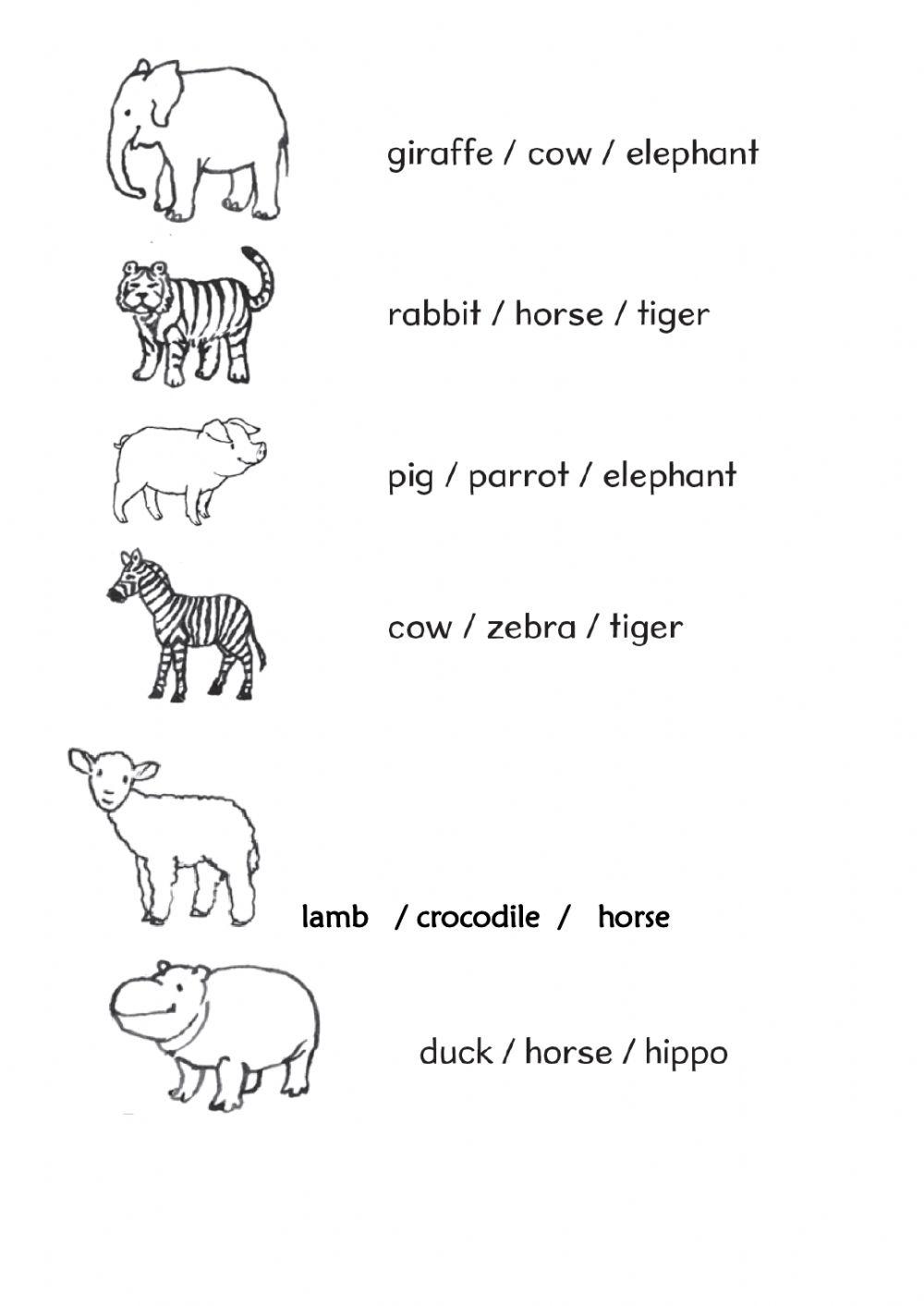 Hello Explorer 2 unit 3   ANIMALS