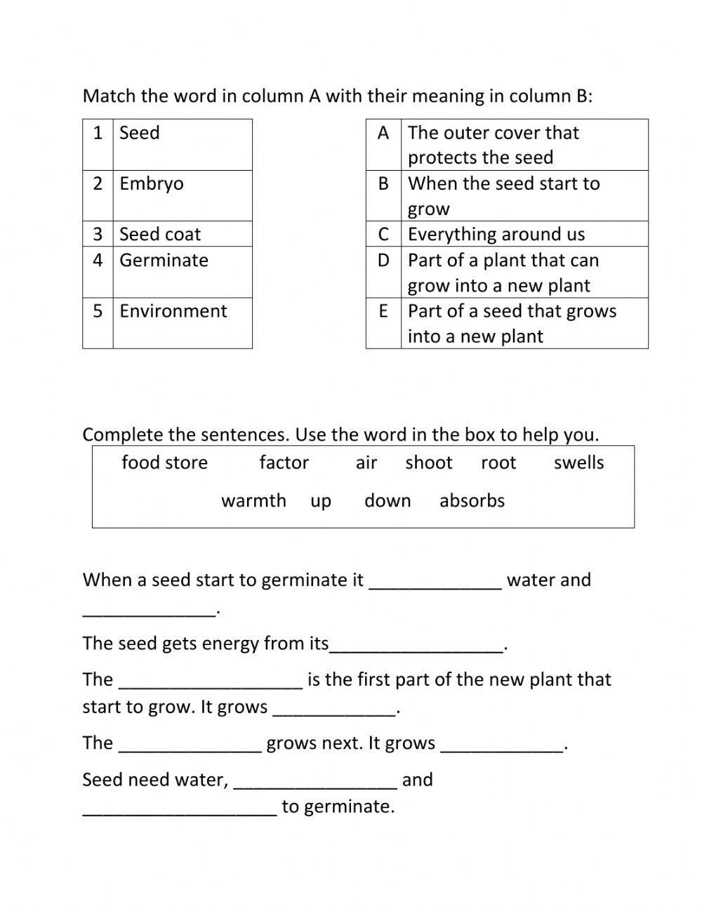 Science review grade 4