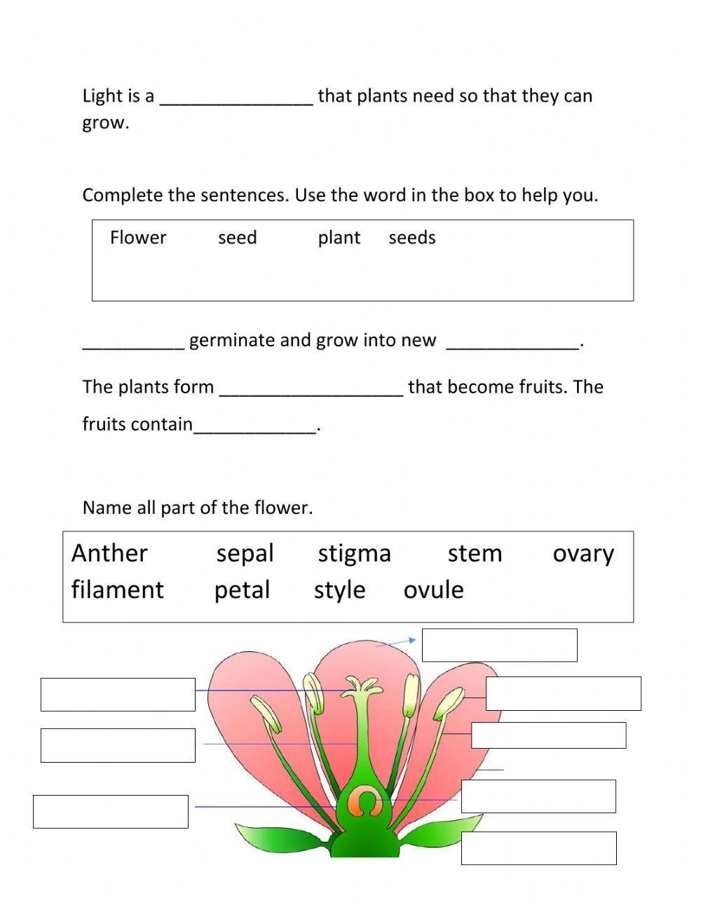 Science review grade 4