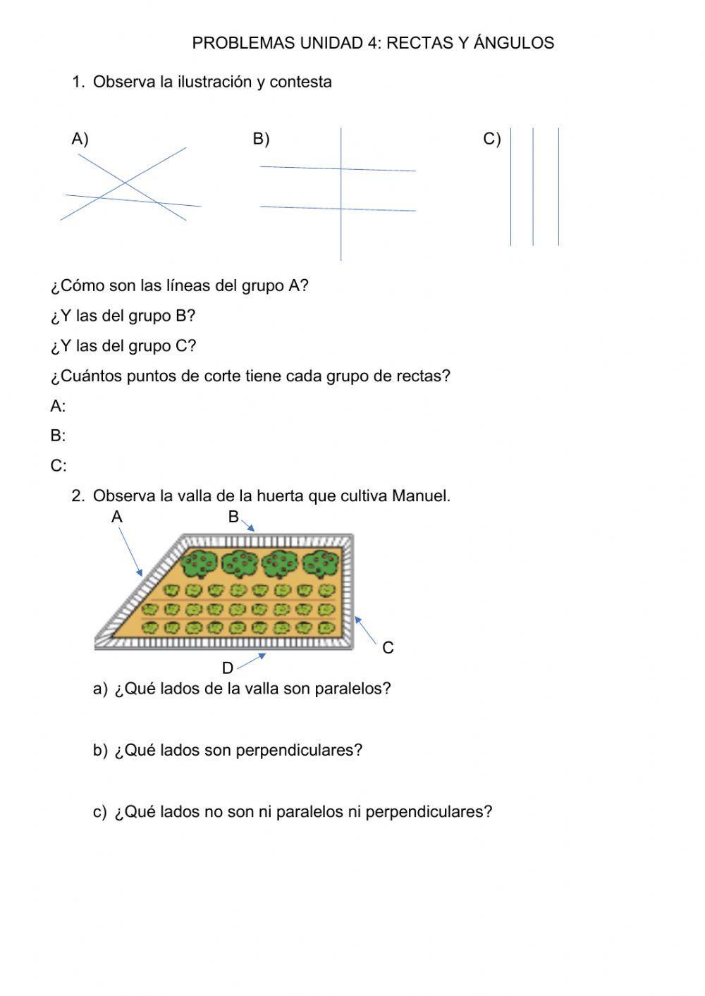 Problemas rectas y ángulos 3º primaria
