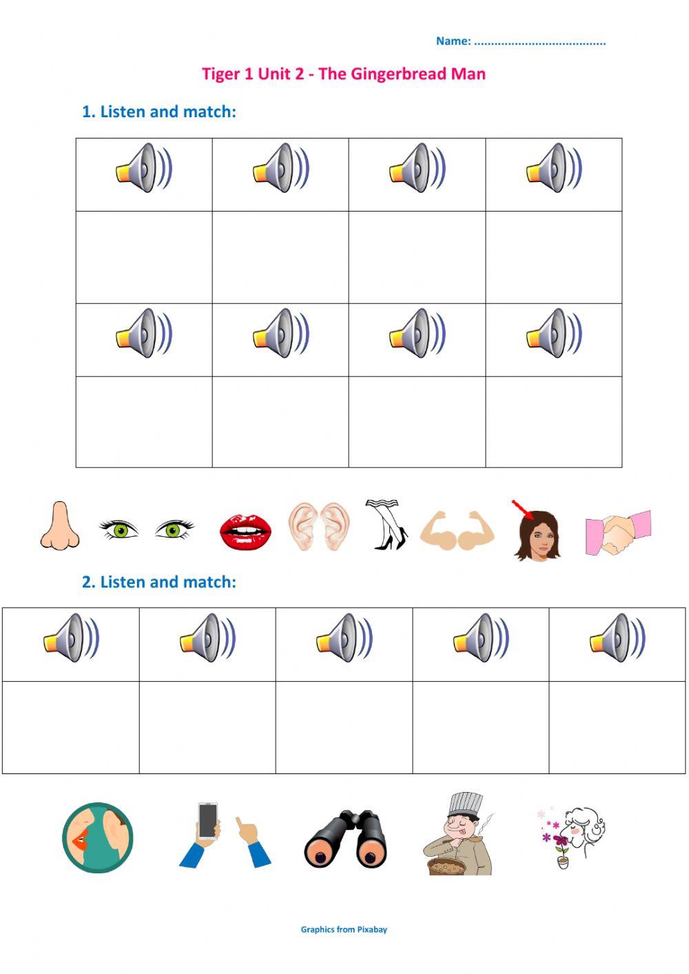 Tiger 2 Unit 2 - test