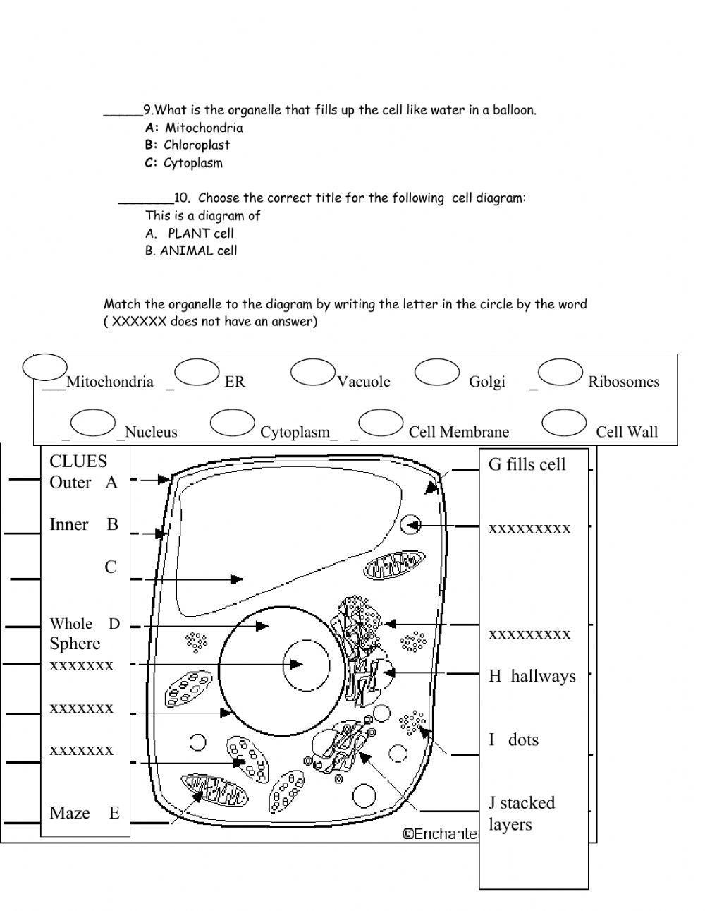 Cell Structure -Ffunction quiz