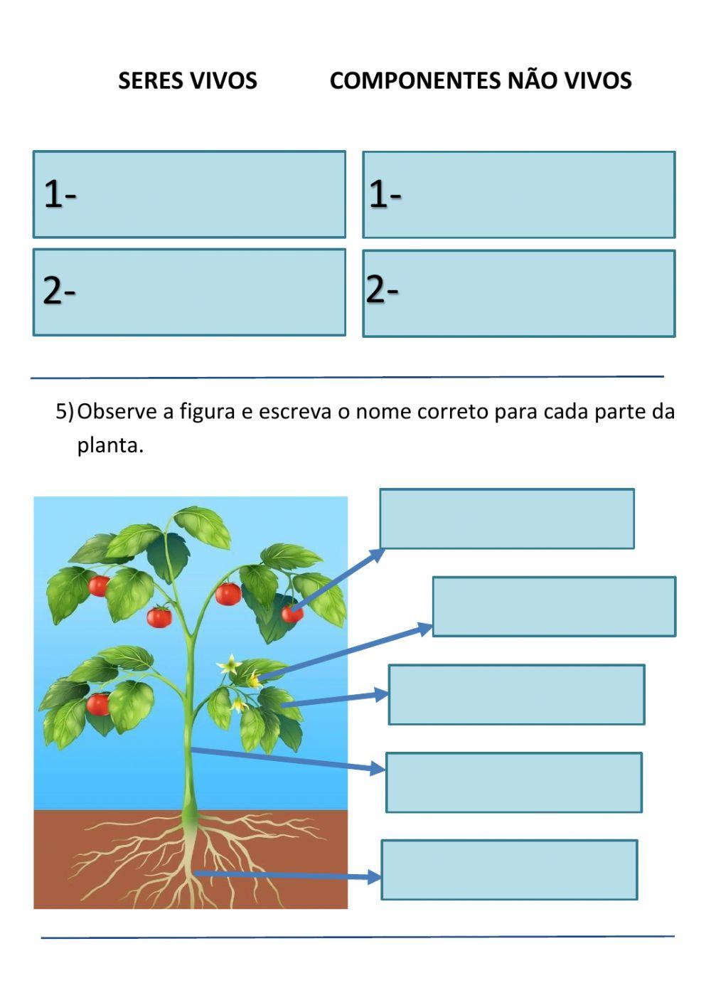 Exame final de Ciências