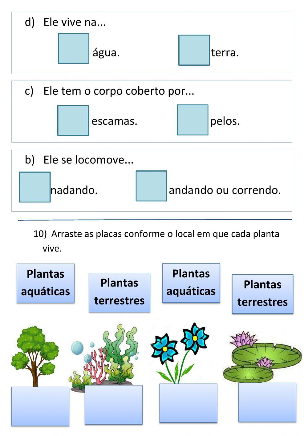 Exame final de Ciências