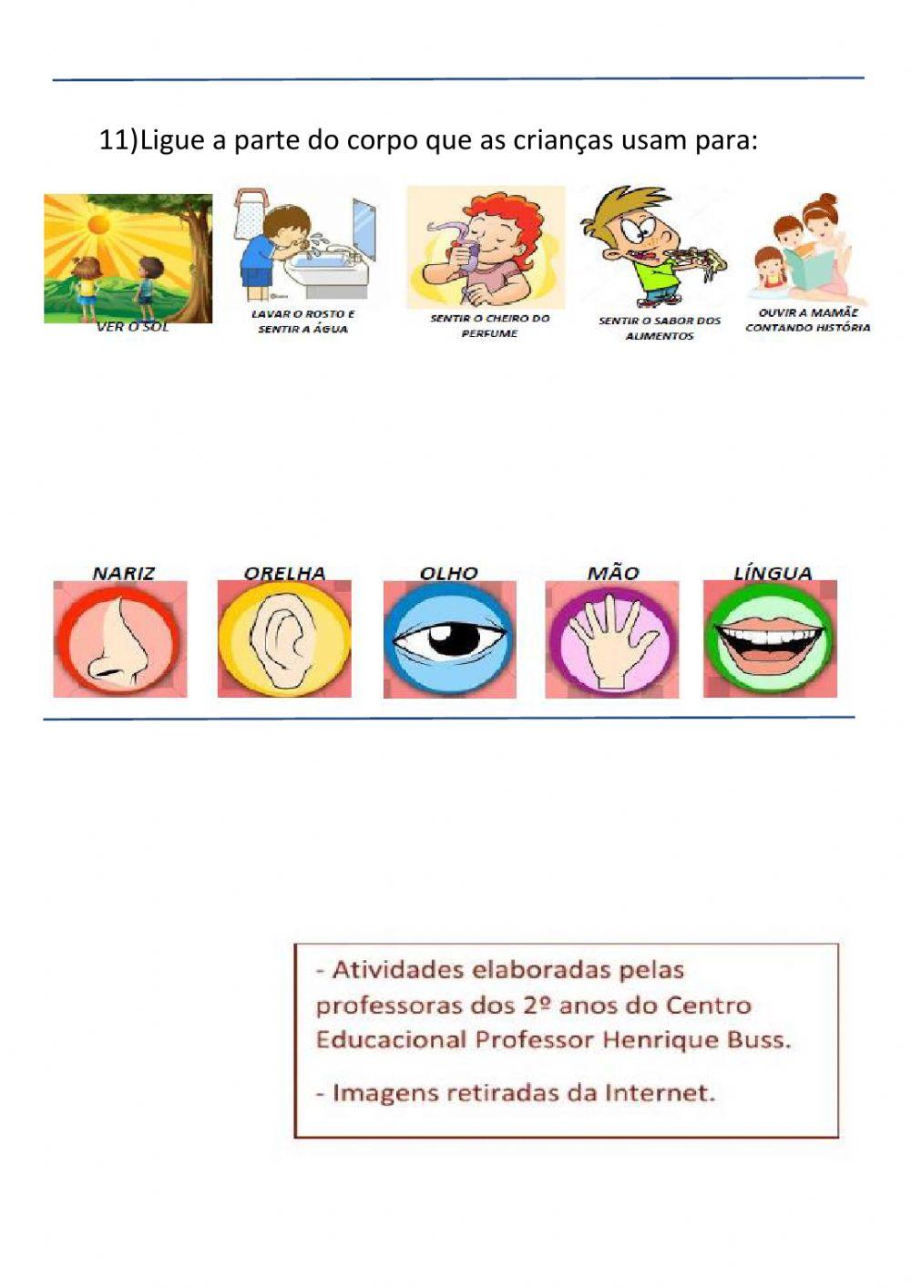 Exame final de Ciências