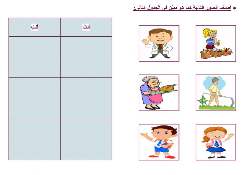 ضمائر المخاطب (أنتَ - أنتِ) - 3