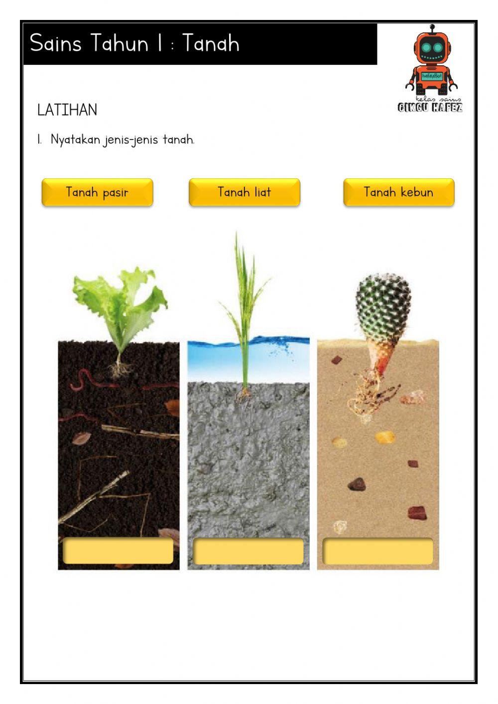 Sains Tahun 1 Tanah