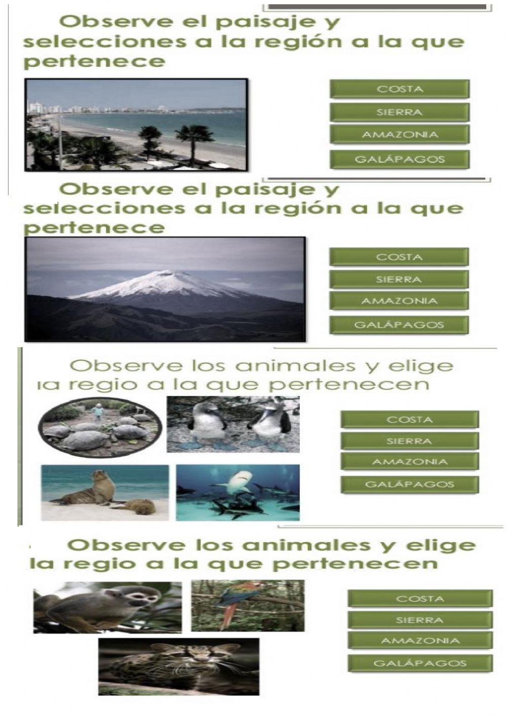 Regiones naturales del ECUADOR