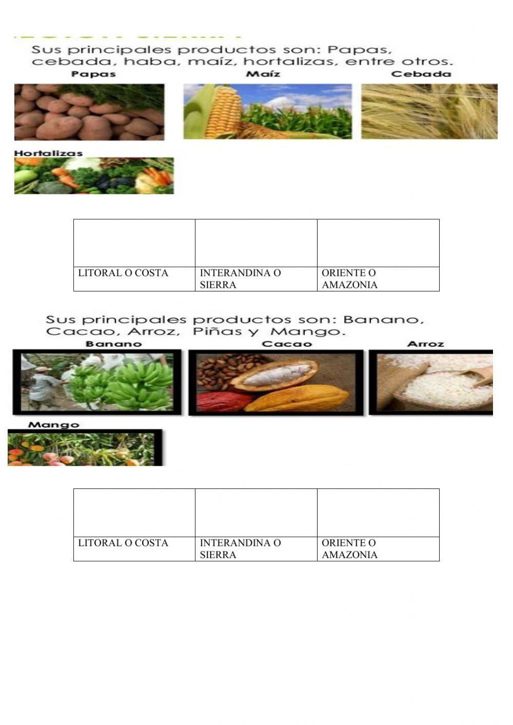 Regiones naturales del ECUADOR