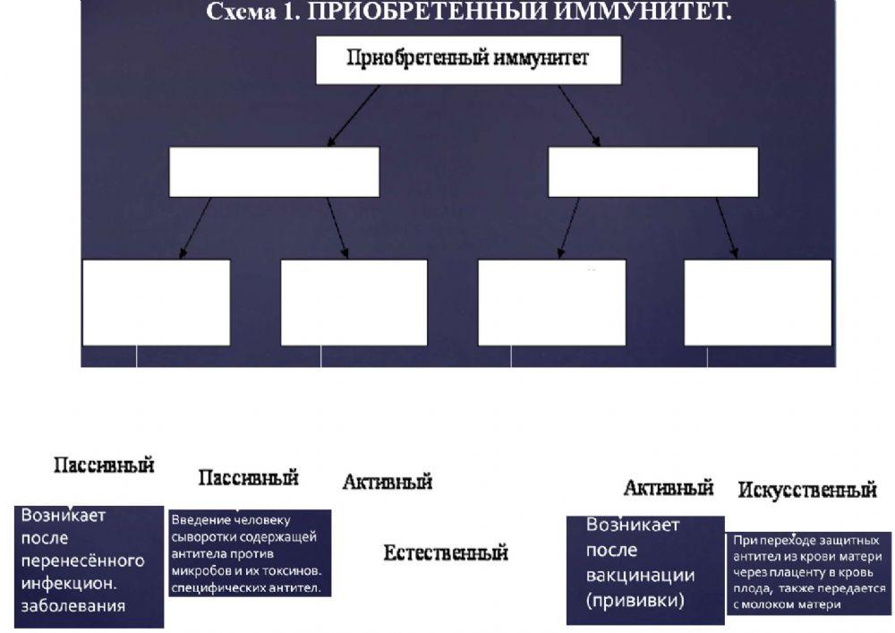 Внутренняя среда организма. Иммунитет