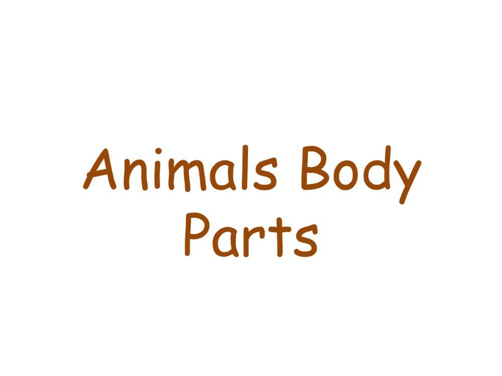 Animals Body Parts
