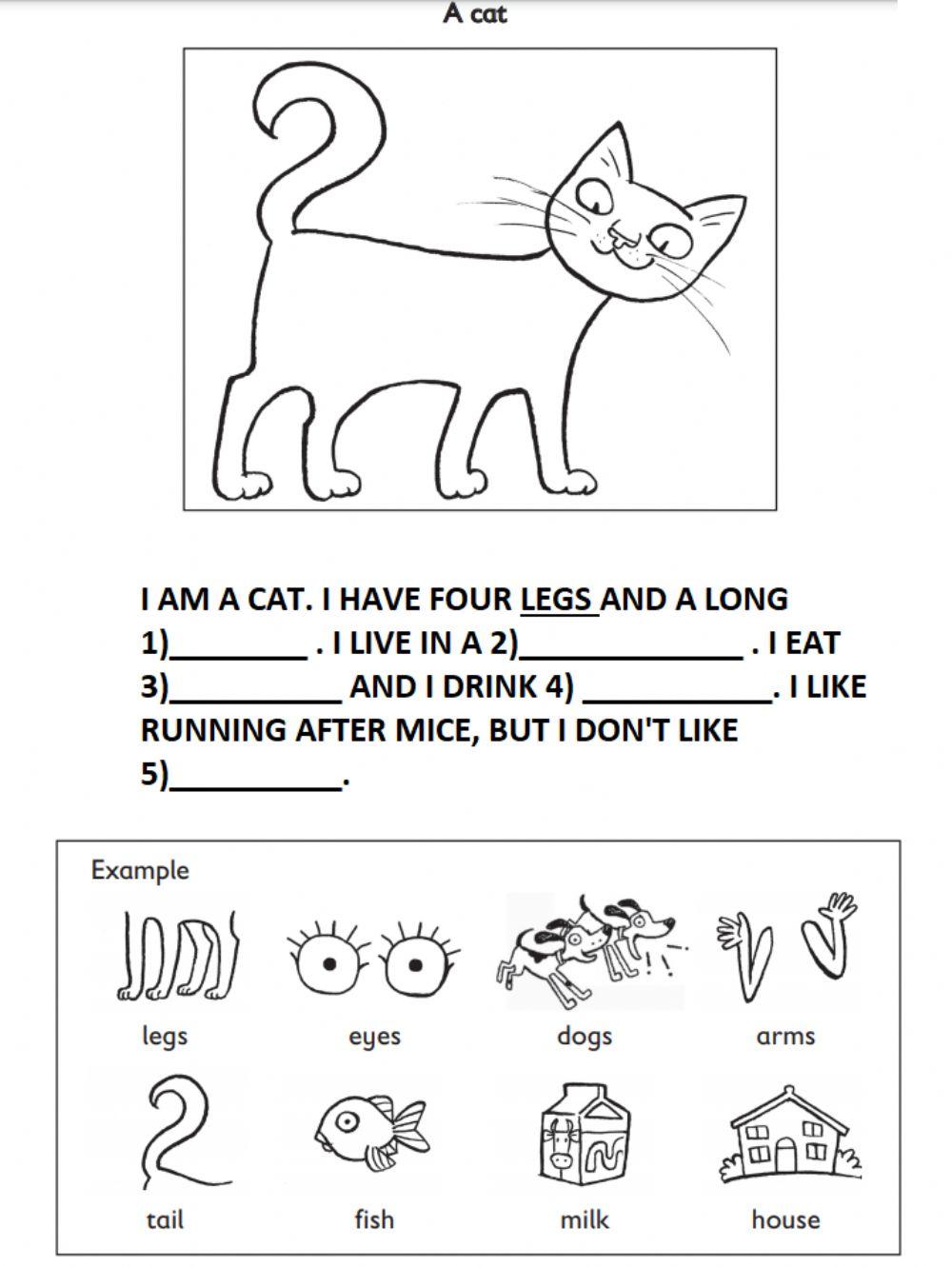 Kids  4 - starters activity