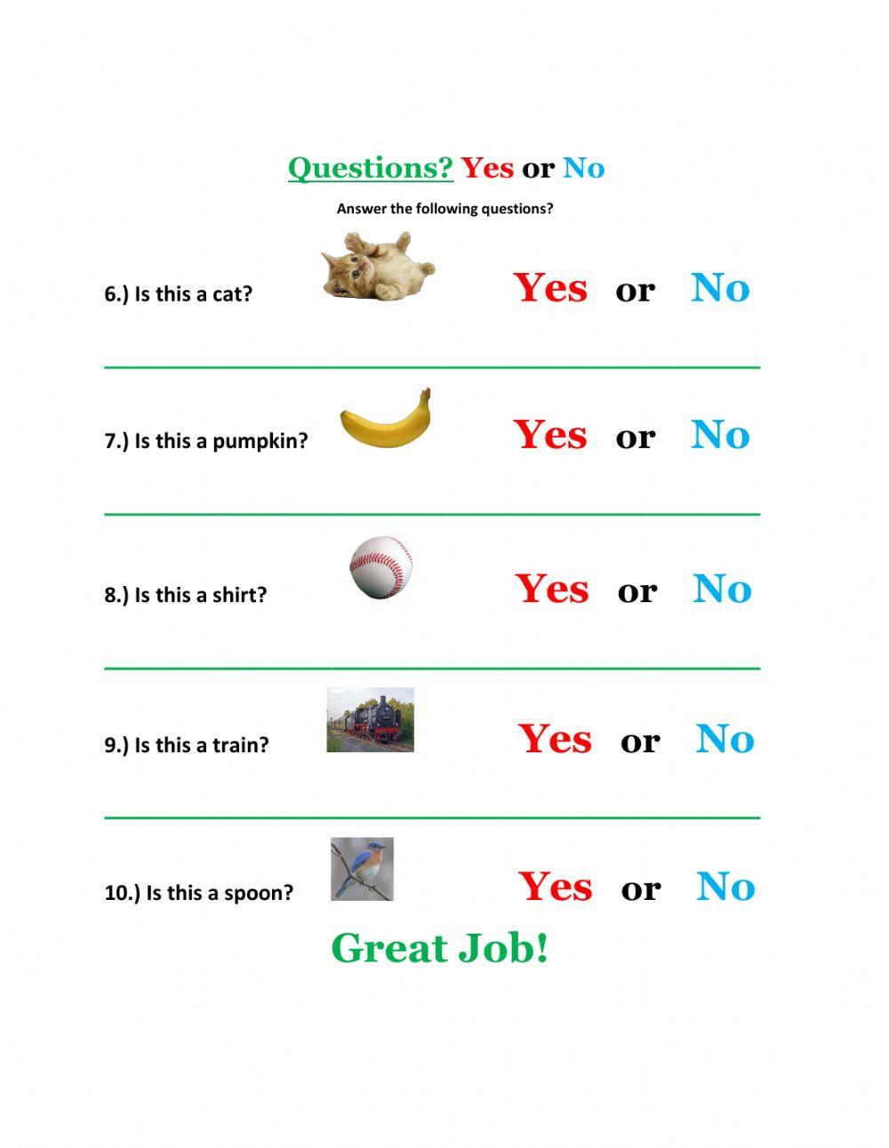 Yes or No Questions-2