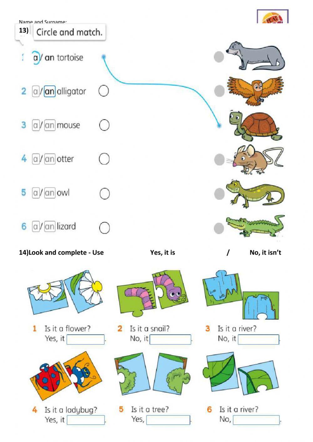 Exam Shine on 3 Units 1-4