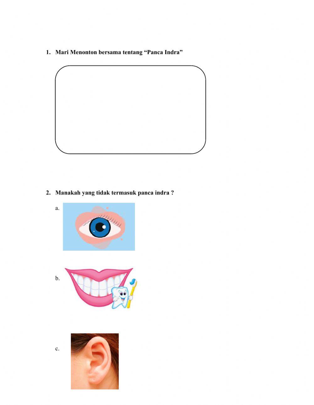Panca Indra worksheet Live Worksheets Panca Indra worksheet Live Worksheets