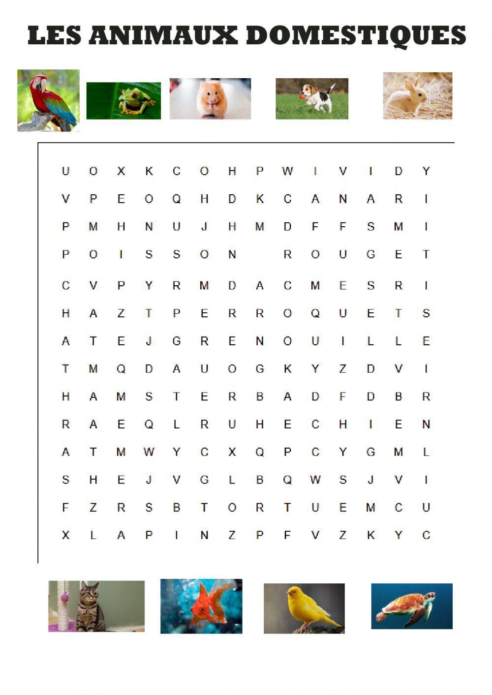 Les animaux domestiques