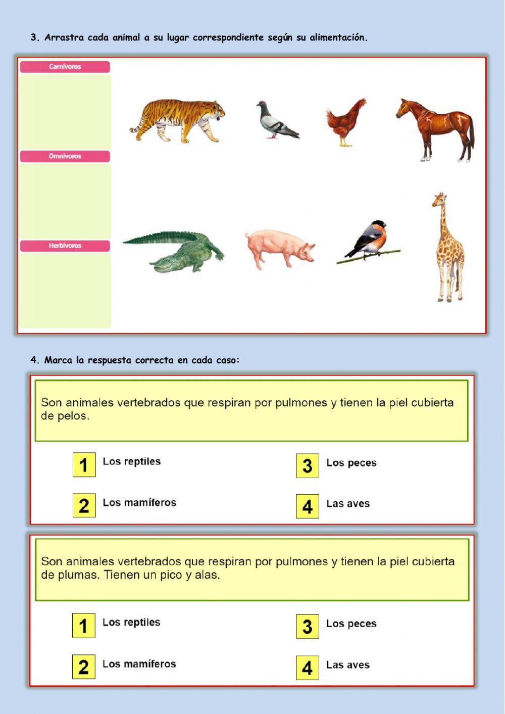 Tema 2. 2ª Parte. Vertebrados.
