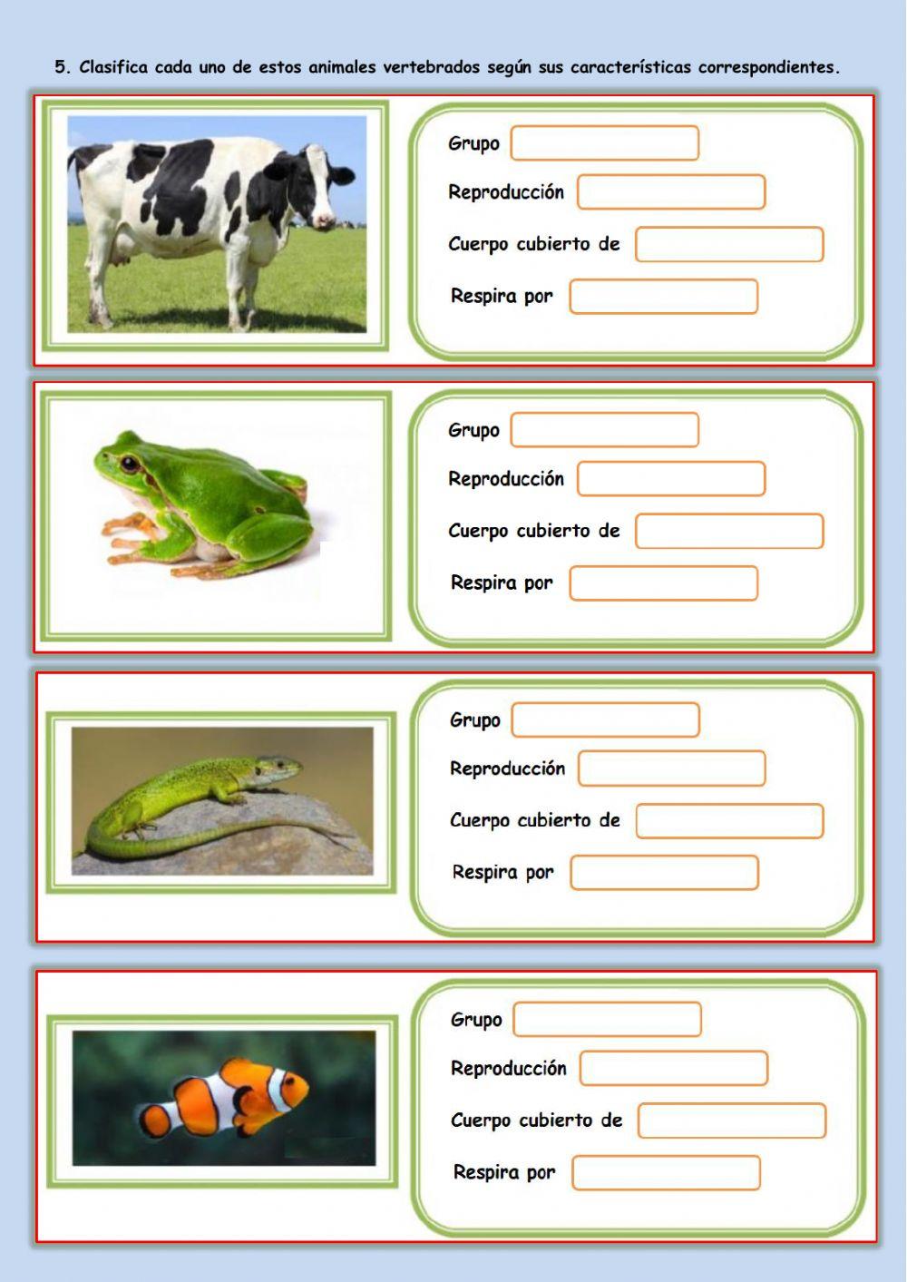 Tema 2. 2ª Parte. Vertebrados.