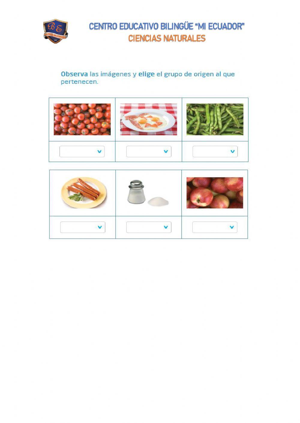 Alimentación Saludable