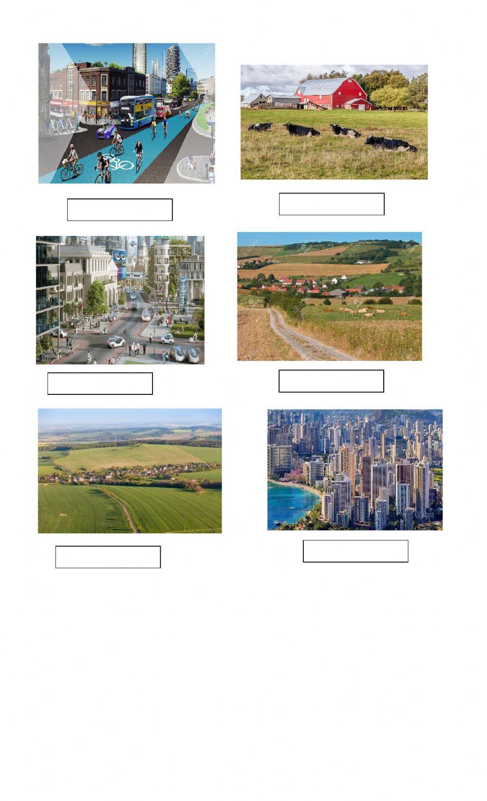 Final test Social Studies 2