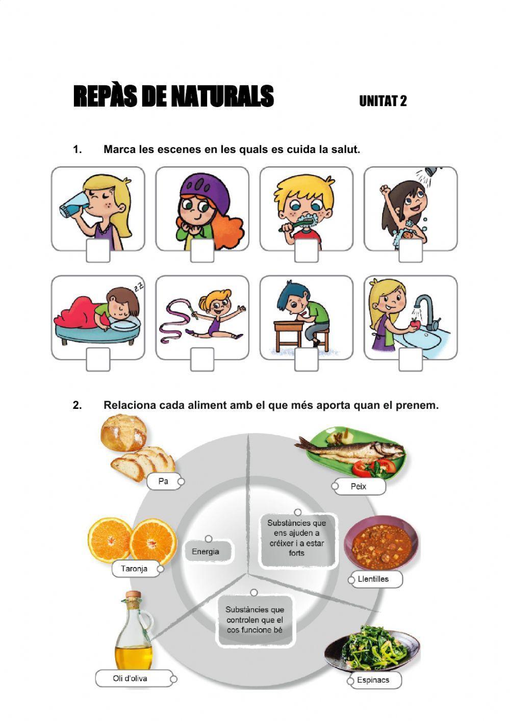 FITXA REPÀS NATURALS T-2