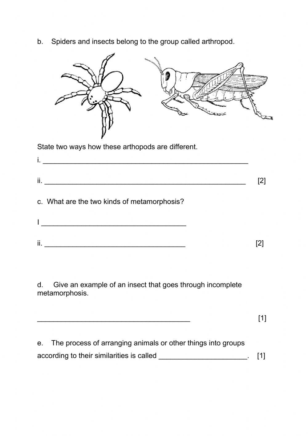 grade 6 structured 4551956 | willbe290 | LiveWorksheets