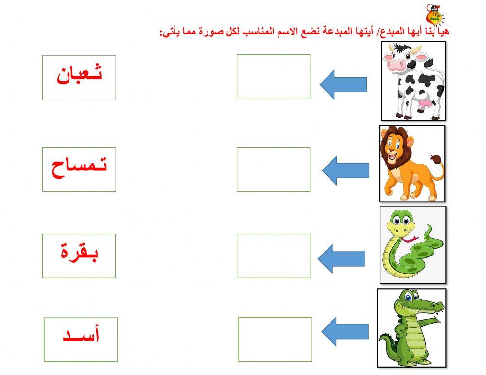 أوراق متنوعة أ-ب-ت-ث