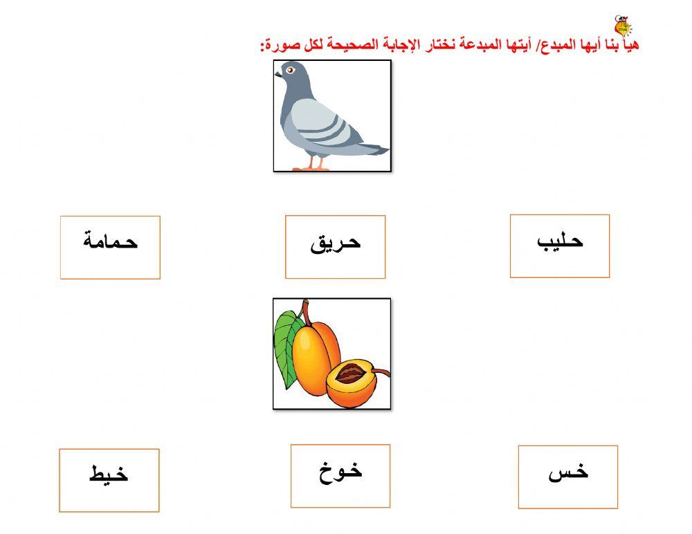 أوراق متنوعة ج-ح-خ