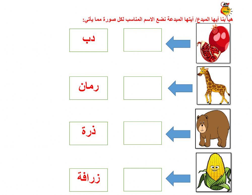 أوراق متنوعة د-ذ-ر-ز
