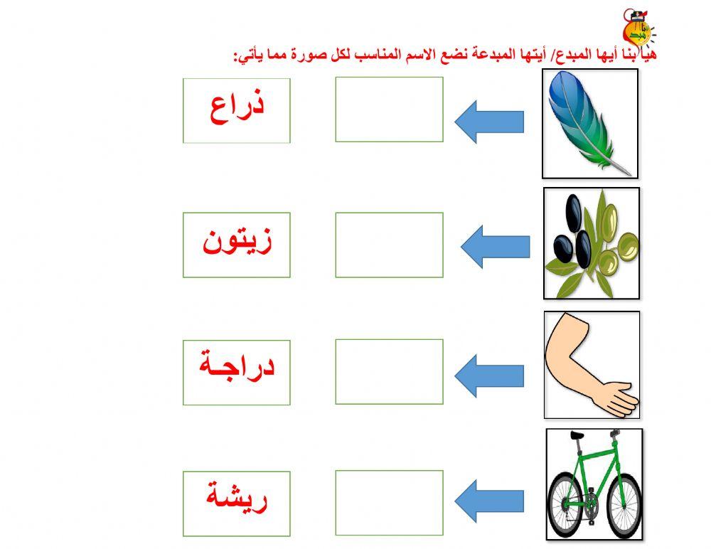 أوراق متنوعة د-ذ-ر-ز
