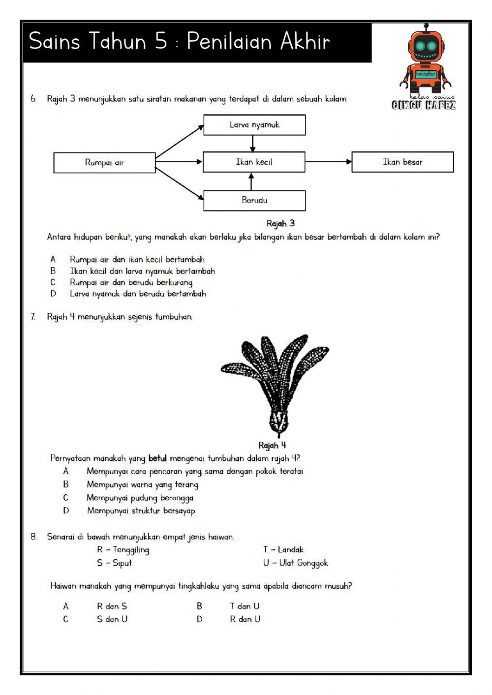 Penilaian Akhir Sains Tahun 5