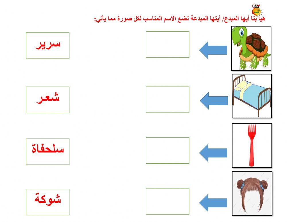 أوراق متنوعة س-ش