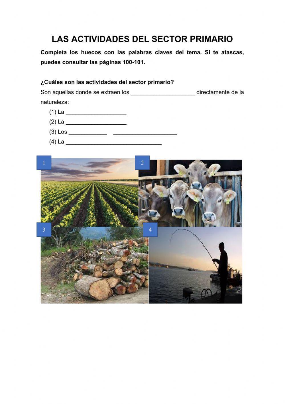 Actividades sector primario