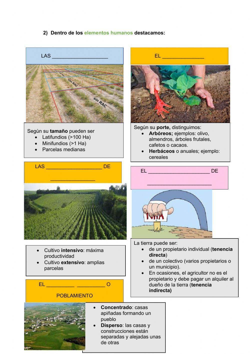Actividades sector primario