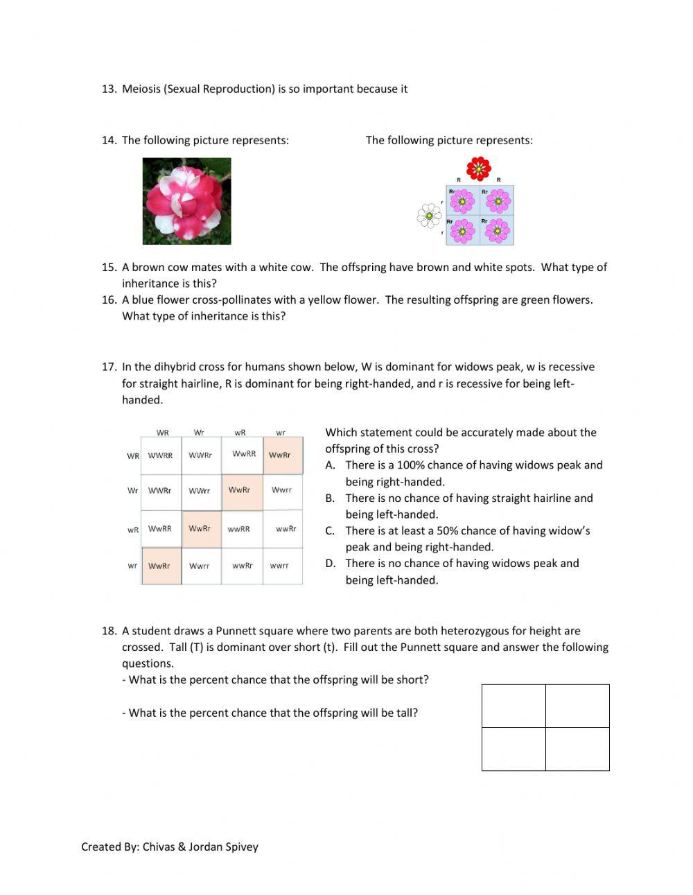 Genetics Heredity Review 6901689 Coach Science Live