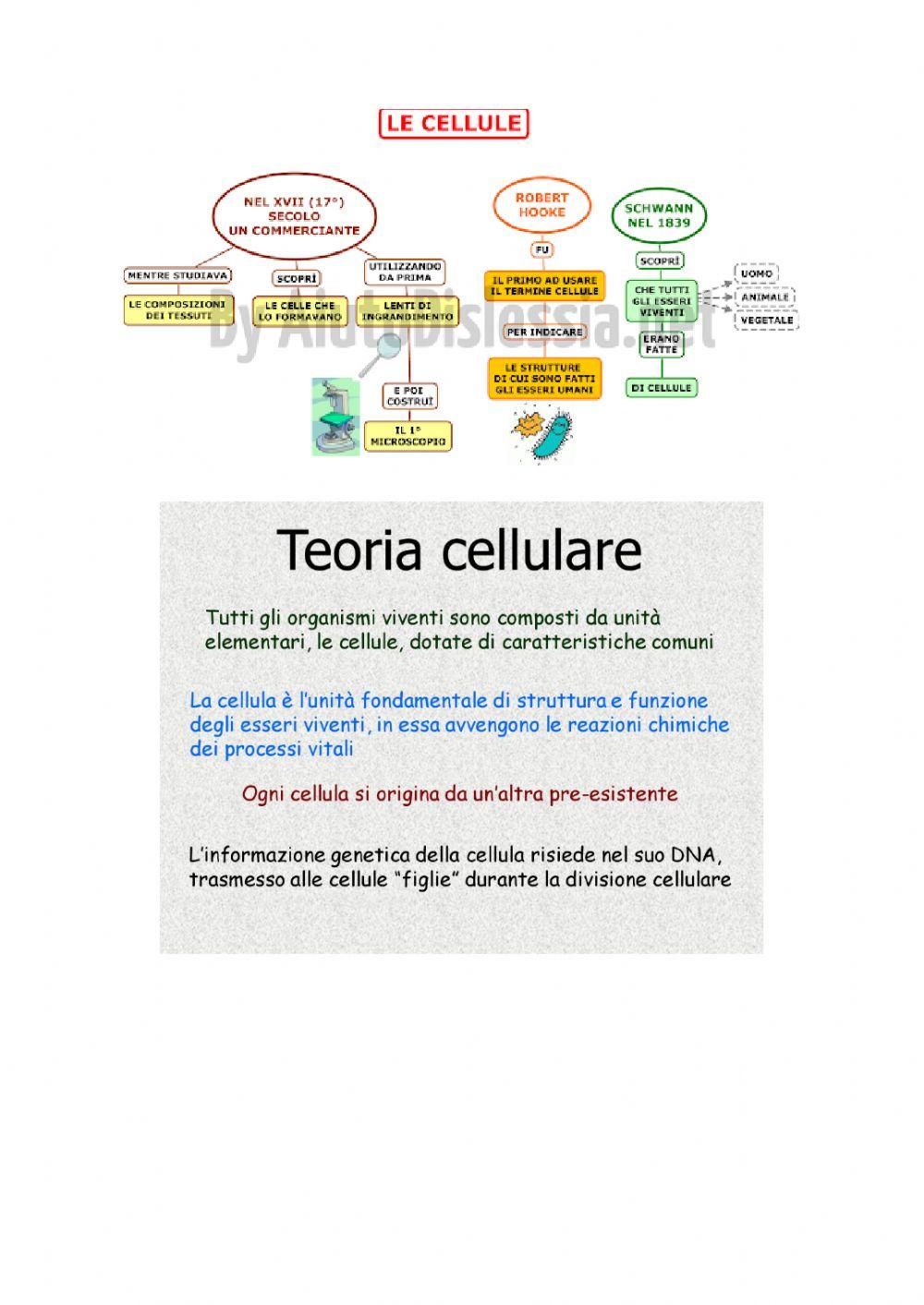 La cellula