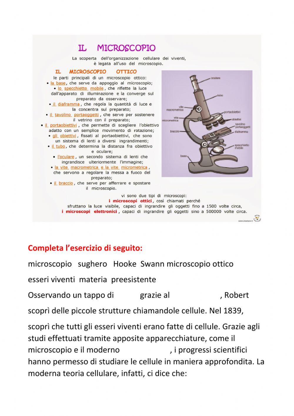 La cellula