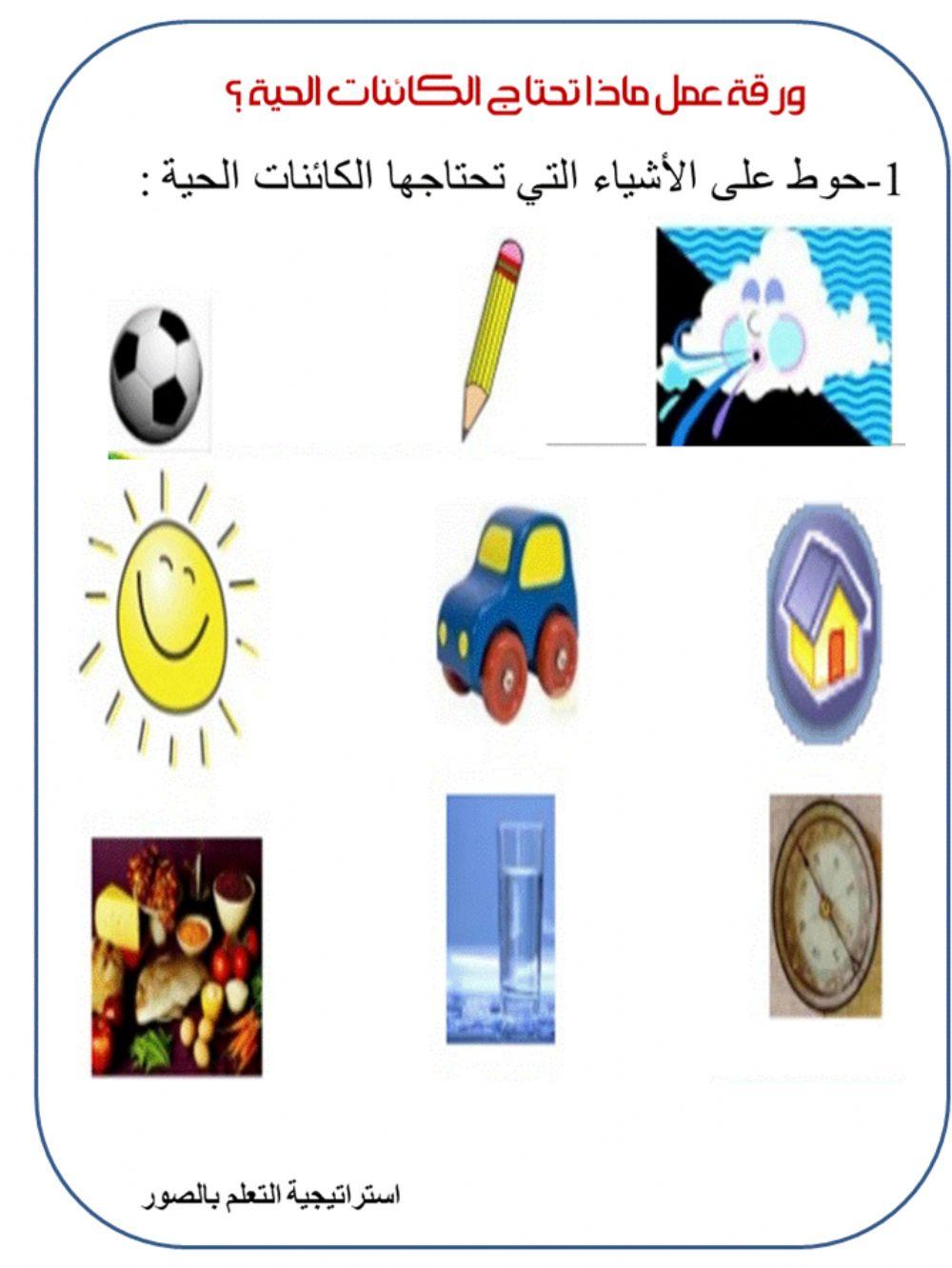 احتياجات النبات