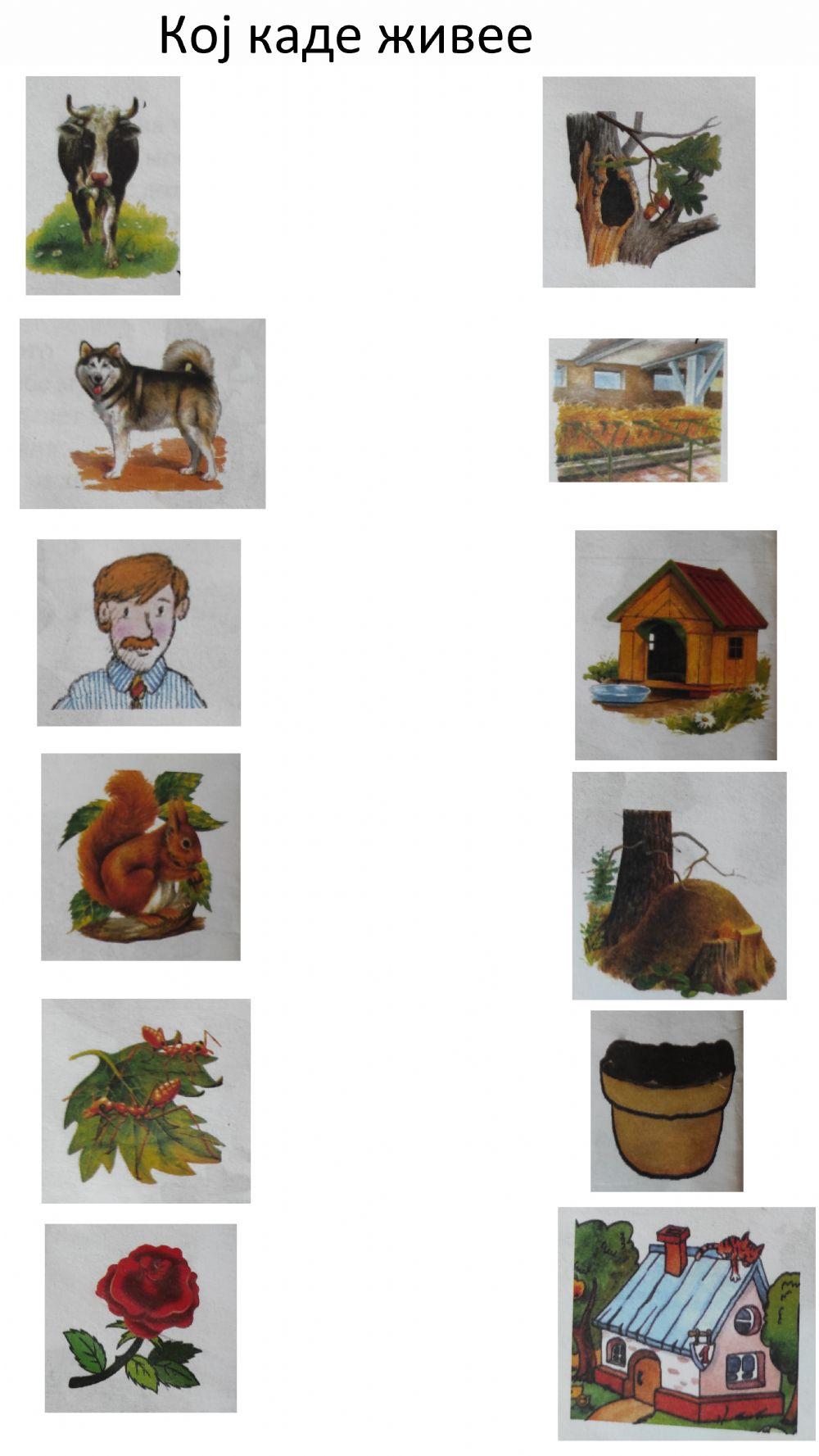 Кој каде живее